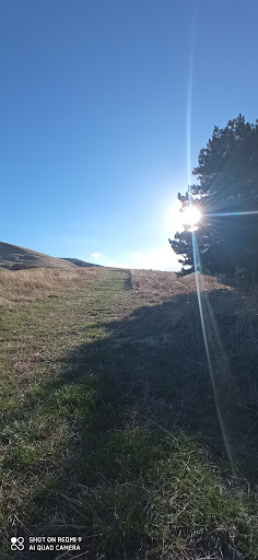 Sentiero natura per Monte Cornacchia - Thumbnail