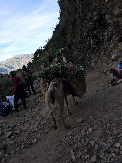 Photos of La Visite National Park