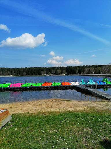 Ebike Erzgebirge - Thumbnail