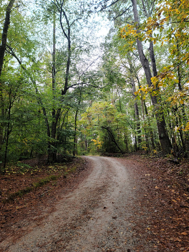 Lynch's Woods Park Gallery - United States