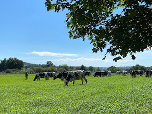 Photo n°2 de Gaec le champ vert à Chamboeuf (Ferme)