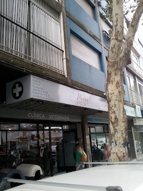 Clinica Veterinaria Lo de Mishka, Author: Marcelo Piñeyro