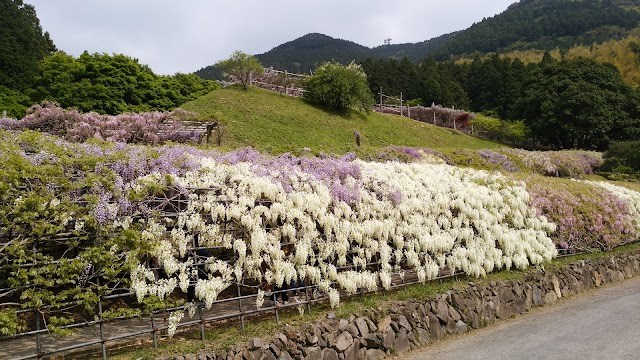 Kawachi Fuji-en