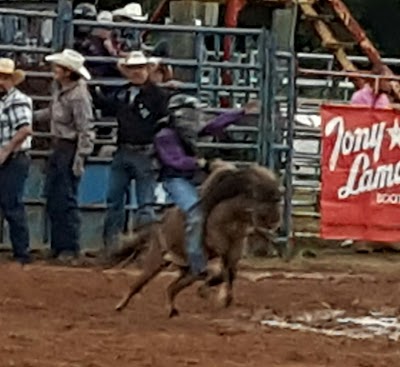 Tough Enough Rodeo and Campground