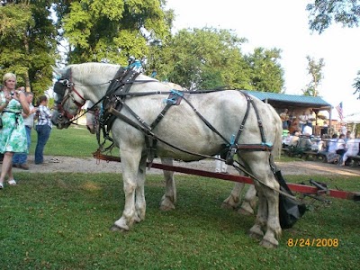 Guided Trail Rides LLC