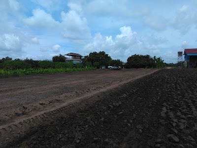 natural-feature