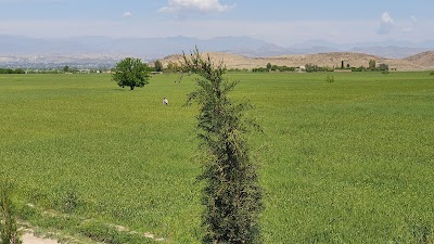 Ezat Noor House Gundai Kalai Khost Gurbaz