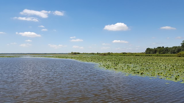 Lac de Grand-Lieu