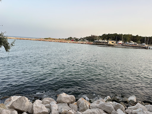 Buonaventura Baretto on Lamone Gallery - Italy