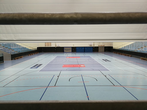 CU Arena - Visual