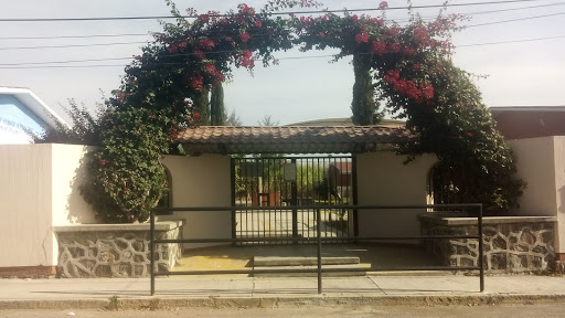 Primaria Acolmiztli