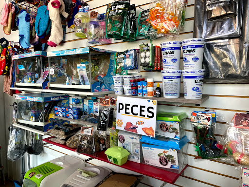 The Pets Shop Angelopolis - Thumbnail
