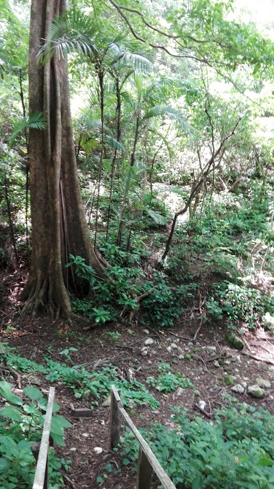 Photos of Reserva Cerro De Caballito