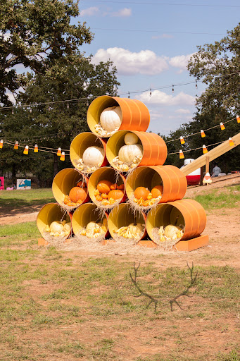 Jacksboro Pumpkin Patch