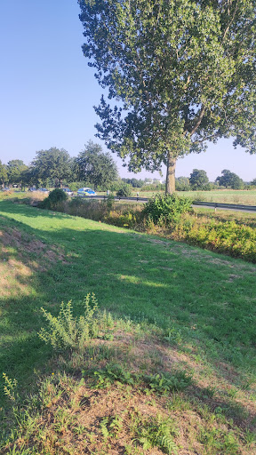 Parkplatz am Hufeisensee - Thumbnail