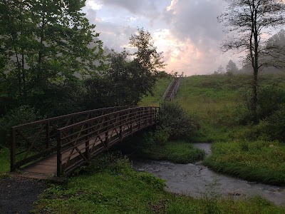 Braley Pond