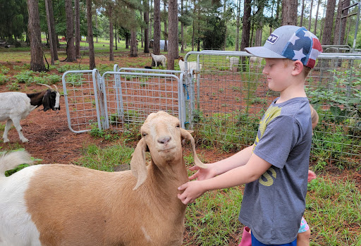 Cheese Acres Farm Gallery - United States