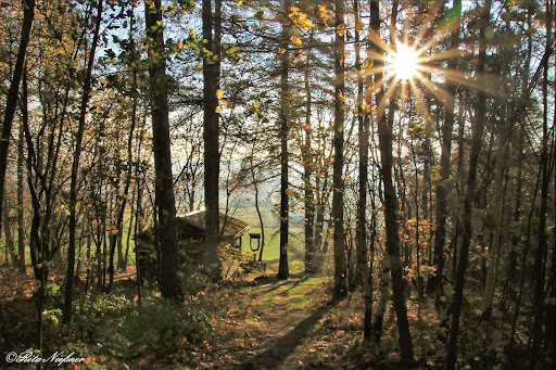 Heimatblick - Thumbnail