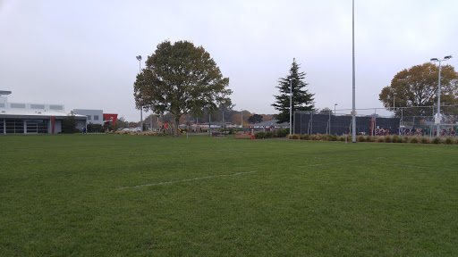 Lincoln Rugby Football Club - Thumbnail