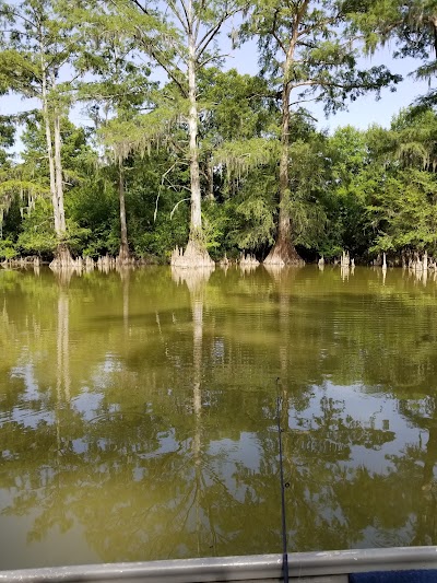 Buckhorn Wildlife Management Area