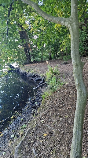 Großteich - Visual