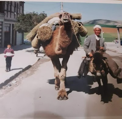 Photos of Cafe el azzami