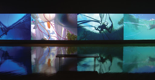 USF Contemporary Art Museum Logo
