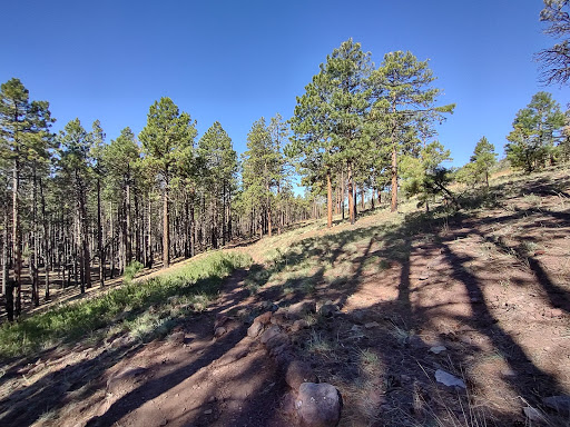 Kendrick Mountain Wilderness - Thumbnail