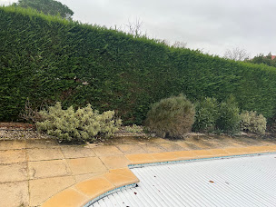 Photo n°18 de Exeter à Cornebarrieu (Jardinier)