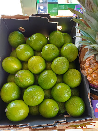 Frutteria Conero - Visual