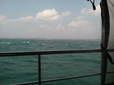 Photos of Whale & Dolphin Watching by Paradise Beach Club