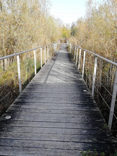 Parc de la Roselière - Thumbnail