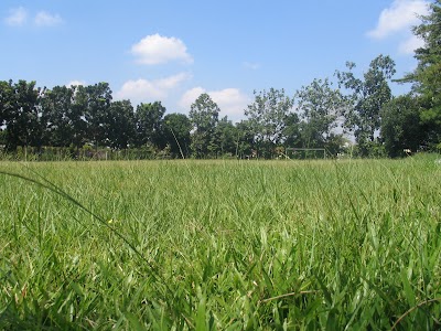 Photos of SMP Pangudi Luhur 1 Yogyakarta