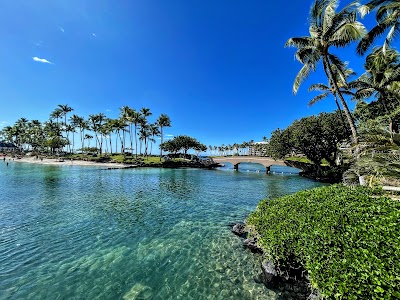 Dolphin Quest Hawaii - Swim with Dolphins