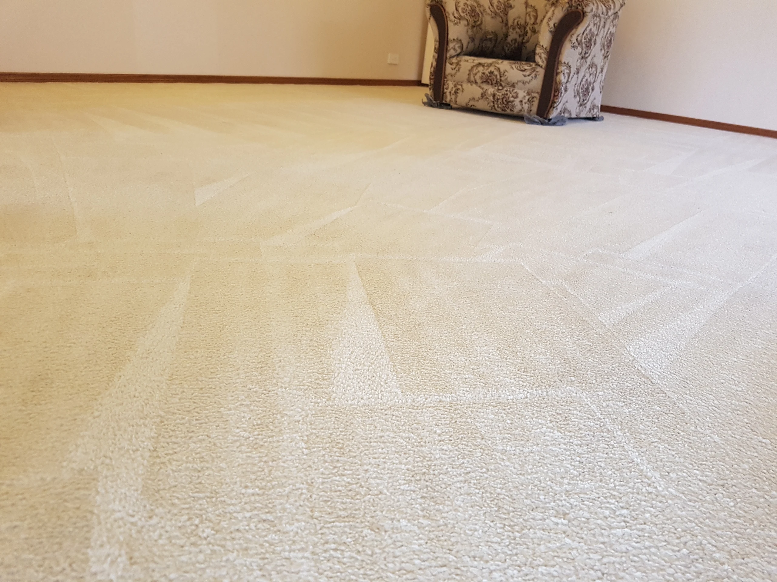 Misha Carpet Cleaning Melbourne