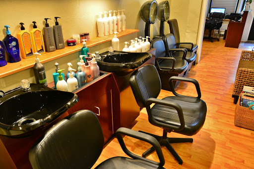 Carmen's Hair Design Gallery - United States