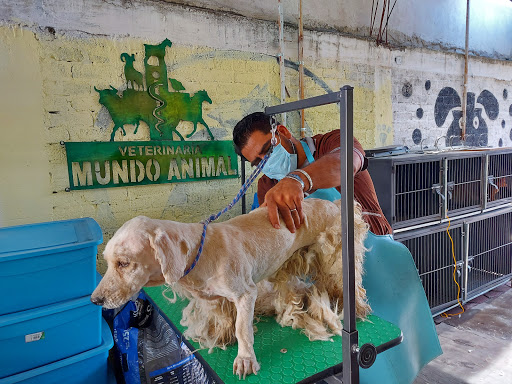 Veterinaria Mundo Animal