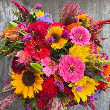 Holly Springs Farmers Market by null