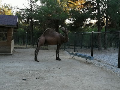 Usak Zoo