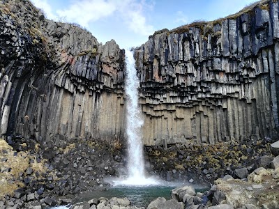 Photos of Svartifoss waterfall (Parking)