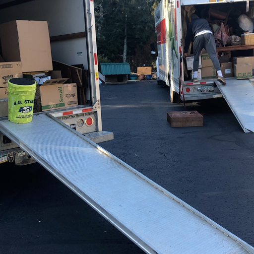 Born Ready Movers - Thumbnail