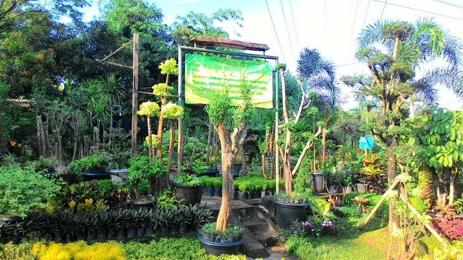 Pojok Hijau Nursery, Author: heru widijastuti