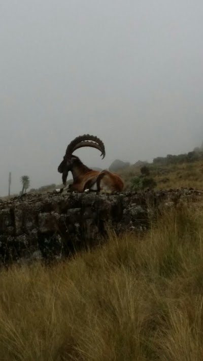 Photos of Simien trekking tours