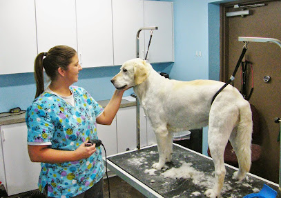 Bark Avenue Dog Wash