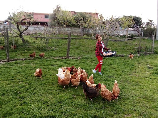 Agriturismo Nonna Cecilia - Thumbnail