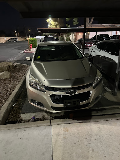 Flex Auto - Visual