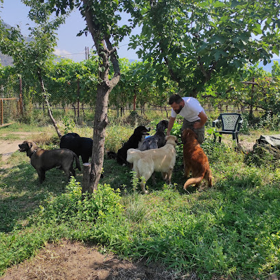 Centro Cinofilo Bolzano - Soc. Coop.