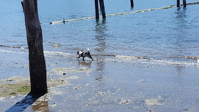 Port of Siuslaw Campground