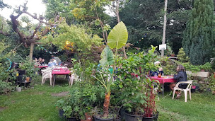 Photo n°5 de L' Auberge du cédre à Saint-Jean-du-Gard (Restaurant)