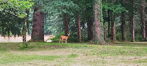 Photo n°6 de Le Bois des Fées de Chazelles à Chazelles (Chambre d'hôtes)